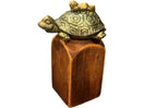 Switch Brandon The Post Turtle, FBJ, Political, Republican, Conservative 3 image