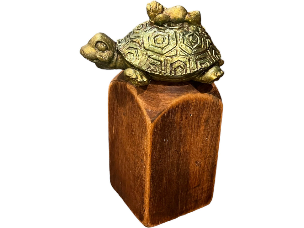 Brandon The Post Turtle, FBJ, Political, Republican, Conservative