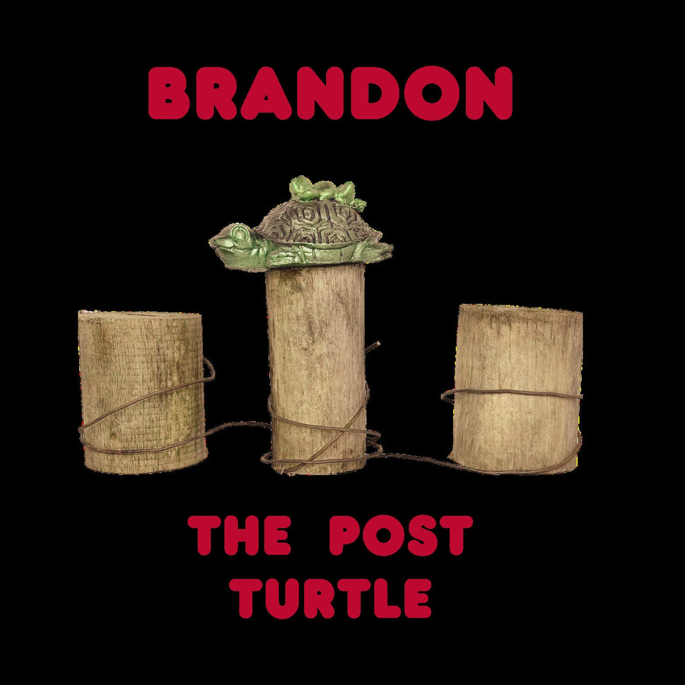 Brandon The Post Turtle, FBJ, Political, Republican, Conservative